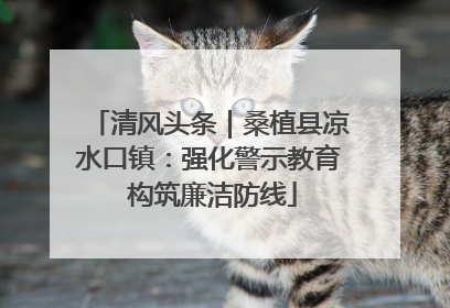 清风头条｜桑植县凉水口镇：强化警示教育 构筑廉洁防线
