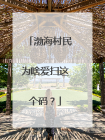 渤海村民为啥爱扫这个码？