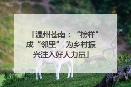 温州苍南：“榜样”成“邻里” 为乡村振兴注入好人力量