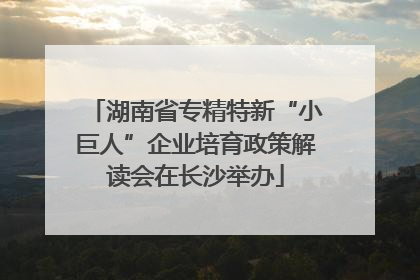 湖南省专精特新“小巨人”企业培育政策解读会在长沙举办