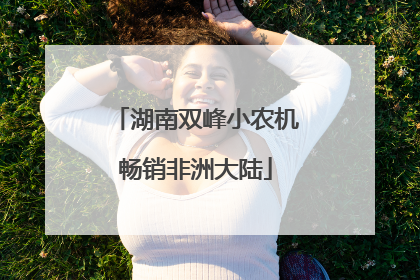 湖南双峰小农机畅销非洲大陆