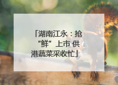 湖南江永：抢“鲜”上市 供港蔬菜采收忙