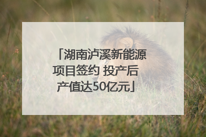 湖南泸溪新能源项目签约 投产后产值达50亿元