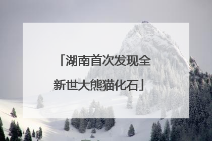 湖南首次发现全新世大熊猫化石