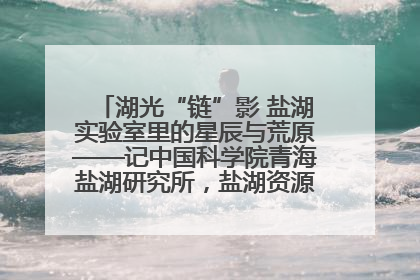 湖光“链”影 盐湖实验室里的星辰与荒原——记中国科学院青海盐湖研究所，盐湖资源化学实验室党总支书记、副主任刘忠
