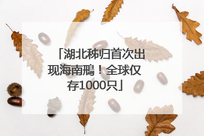 湖北秭归首次出现海南鳽！全球仅存1000只