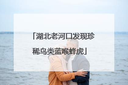 湖北老河口发现珍稀鸟类蓝喉蜂虎