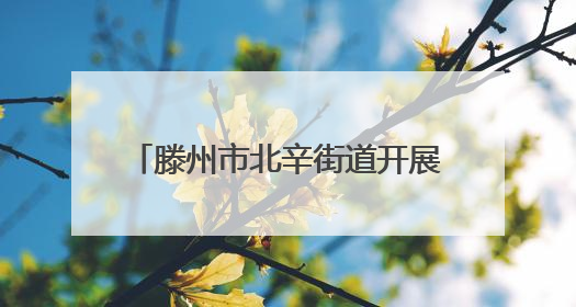 滕州市北辛街道开展非遗竹编手工活动