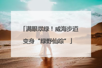 满眼翠绿！威海步道变身“绿野仙踪”