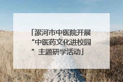 漯河市中医院开展“中医药文化进校园”主题研学活动