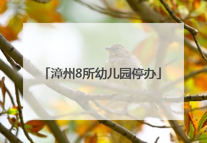 漳州8所幼儿园停办