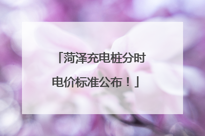 菏泽充电桩分时电价标准公布！