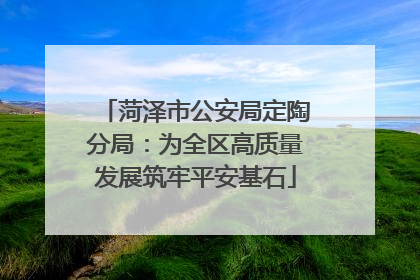 菏泽市公安局定陶分局：为全区高质量发展筑牢平安基石