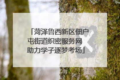 菏泽鲁西新区佃户屯街道织密服务网 助力学子逐梦考场
