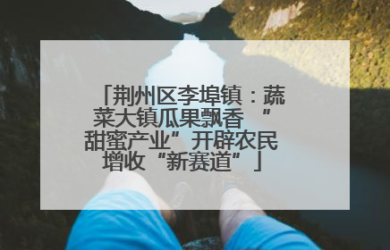 荆州区李埠镇：蔬菜大镇瓜果飘香 “甜蜜产业”开辟农民增收“新赛道”