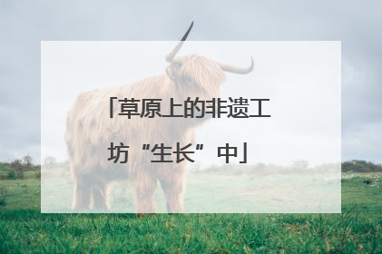 草原上的非遗工坊“生长”中