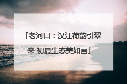 老河口：汉江荷韵引翠来 初夏生态美如画