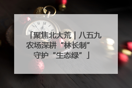 聚焦北大荒｜八五九农场深耕“林长制” 守护“生态绿”