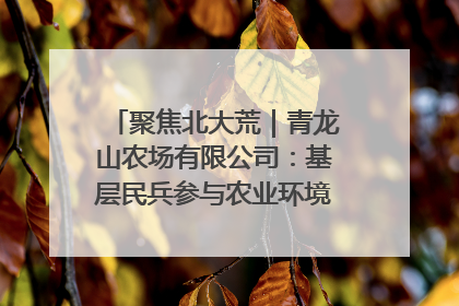 聚焦北大荒｜青龙山农场有限公司：基层民兵参与农业环境综合治理显效