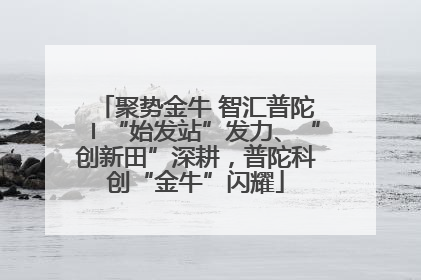 聚势金牛 智汇普陀〡“始发站”发力、“创新田”深耕，普陀科创“金牛”闪耀