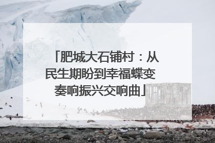 肥城大石铺村：从民生期盼到幸福蝶变奏响振兴交响曲