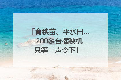 育秧苗、平水田……200多台插秧机只等一声令下