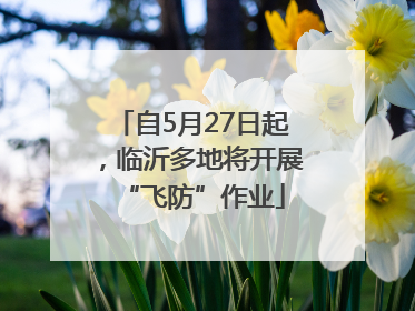 自5月27日起，临沂多地将开展“飞防”作业