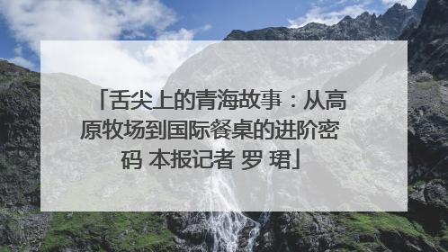 舌尖上的青海故事：从高原牧场到国际餐桌的进阶密码 本报记者 罗 珺