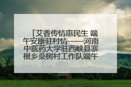 艾香传情惠民生 端午安康驻村情——河南中医药大学驻西峡县寨根乡桑树村工作队端午中医惠民记