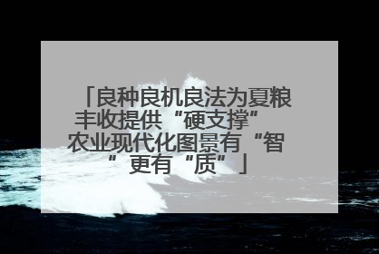 良种良机良法为夏粮丰收提供“硬支撑” 农业现代化图景有“智”更有“质”