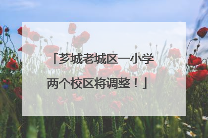 芗城老城区一小学两个校区将调整！