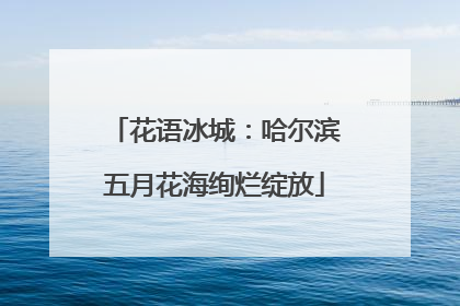 花语冰城：哈尔滨五月花海绚烂绽放