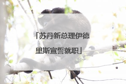 苏丹新总理伊德里斯宣誓就职