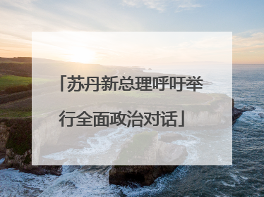 苏丹新总理呼吁举行全面政治对话
