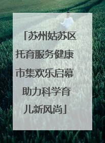 苏州姑苏区托育服务健康市集欢乐启幕 助力科学育儿新风尚