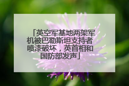 英空军基地两架军机被巴勒斯坦支持者喷漆破坏，英首相和国防部发声