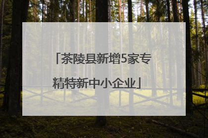 茶陵县新增5家专精特新中小企业