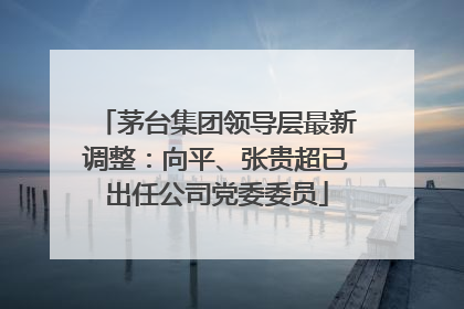 茅台集团领导层最新调整：向平、张贵超已出任公司党委委员