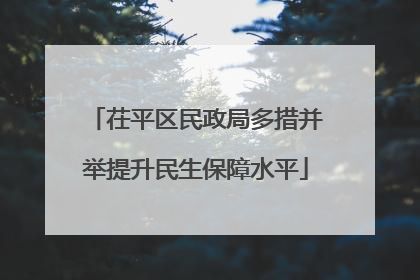 茌平区民政局多措并举提升民生保障水平