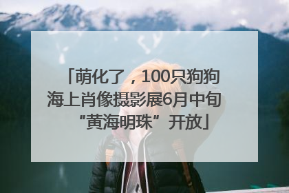 萌化了，100只狗狗海上肖像摄影展6月中旬“黄海明珠”开放