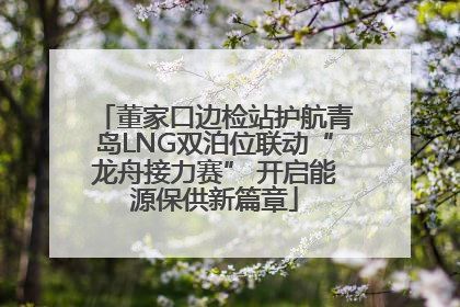 董家口边检站护航青岛LNG双泊位联动“龙舟接力赛” 开启能源保供新篇章