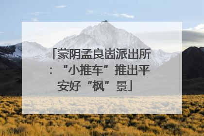 蒙阴孟良崮派出所：“小推车”推出平安好“枫”景