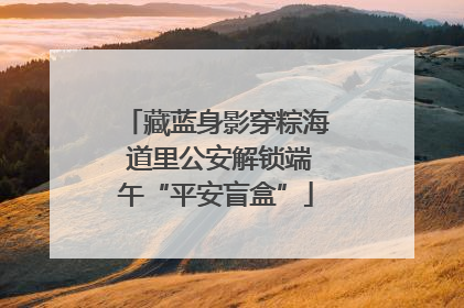 藏蓝身影穿粽海 道里公安解锁端午“平安盲盒”