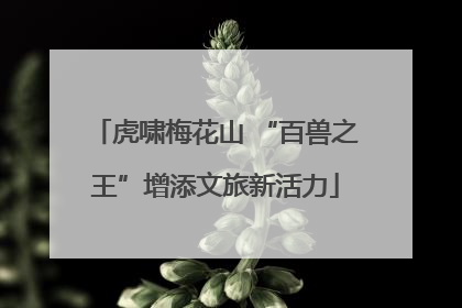 虎啸梅花山 “百兽之王”增添文旅新活力