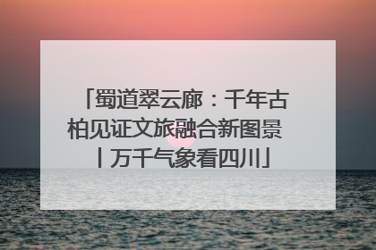 蜀道翠云廊：千年古柏见证文旅融合新图景丨万千气象看四川