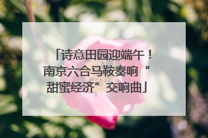 诗意田园迎端午！南京六合马鞍奏响“甜蜜经济”交响曲