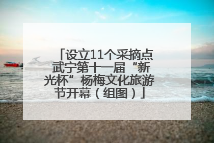 设立11个采摘点 武宁第十一届“新光杯”杨梅文化旅游节开幕（组图）