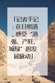 记者手记：在日照港，感受“港强、产旺、城绿”的发展脉动