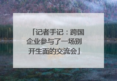 记者手记：跨国企业参与了一场别开生面的交流会