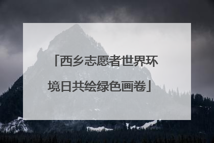 西乡志愿者世界环境日共绘绿色画卷